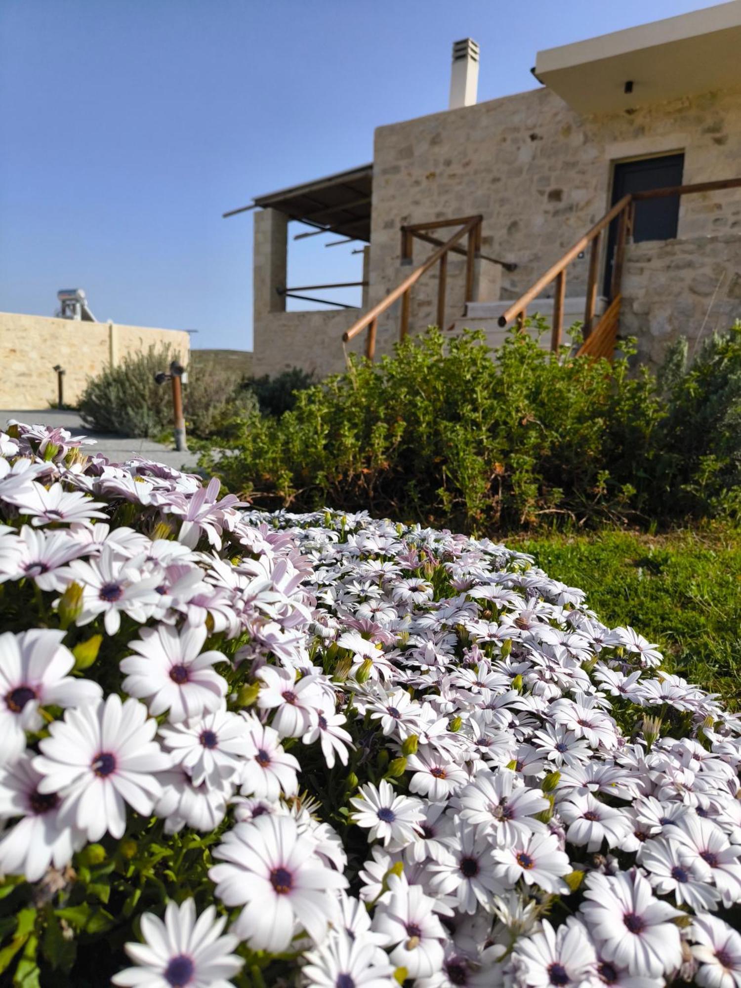 Alagni Cretan Resort Buitenkant foto